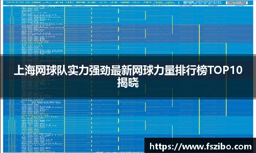 上海网球队实力强劲最新网球力量排行榜TOP10揭晓